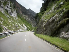 DSCN8245 DSCN8245