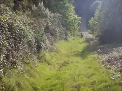 DSCN2100 DSCN2100