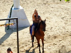 DSCN3906 DSCN3906