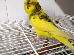 20190102_181334