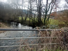 DSCN2355 DSCN2355