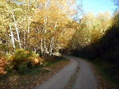 DSCN8786 DSCN8786