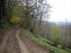 DSCN0874 DSCN0874