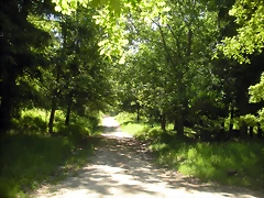 DSCN5310 DSCN5310