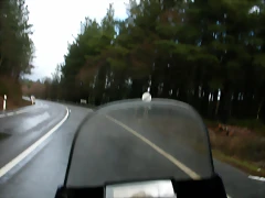 DSCN7436 DSCN7436