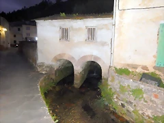 DSCN0833 DSCN0833