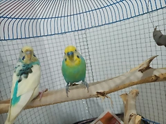 IMG20240902212151