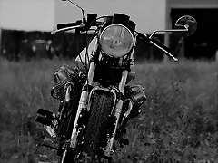 IMG_0350 IMG_0350