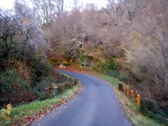 DSCN0114