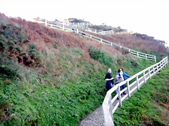 DSCN3126 DSCN3126