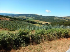 DSCN7575