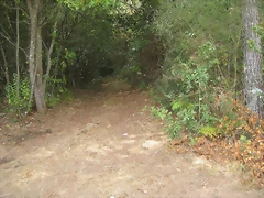 IMG_0401 IMG_0401