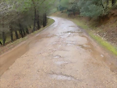 P1030037 P1030037