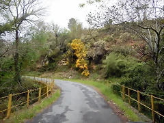 DSCN0564 DSCN0564