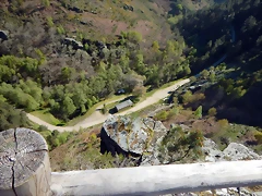 DSCN9017 DSCN9017
