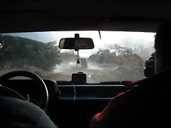 IMG_4546 IMG_4546