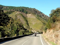 DSCN1494 DSCN1494