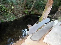 DSCN8175 DSCN8175