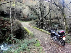 DSCN1848 DSCN1848