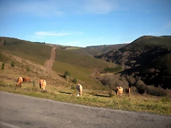 DSCN2497 DSCN2497