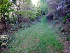 DSCN2087 DSCN2087