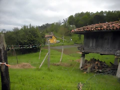 DSCN4540 DSCN4540