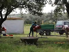 37, levantando la tienda, marca