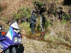DSCN7987 DSCN7987