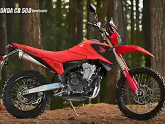 CB500 dominator. proposal