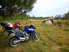 DSCN5324 DSCN5324