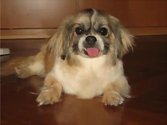 matilda2 matilda2