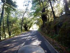 DSCN9161 DSCN9161