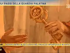 Guardia Palatina d'Onore 9