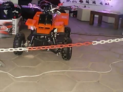 000_393299_2613857586274_257206616_n 000_393299_2613857586274_257206616_n