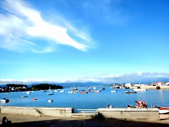 DSCN0311 DSCN0311