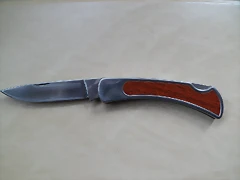SAM_1069 SAM_1069