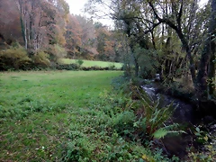 DSCN0566 DSCN0566