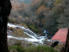 DSCN6690 DSCN6690