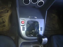 25102010019