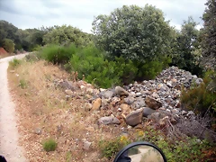 DSCN6231 DSCN6231