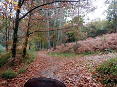 DSCN1145 DSCN1145