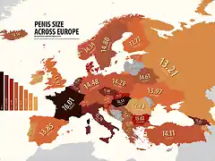 tamano-penes-europa