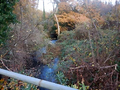 DSCN0707