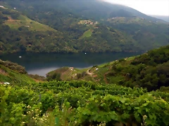 DSCN6276 DSCN6276