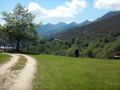 DSCN2631