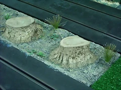 Arboles talados 005 (Small)