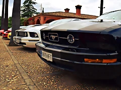 DSC_0793 DSC_0793