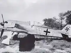 Focke-Wulf-Fw-190A3-7.JG2-(W11+I)-WNr-105-Morlaix-France-August-1942-01