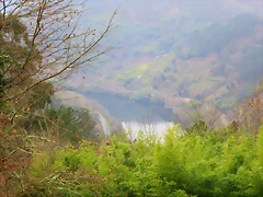 42-IMG_4548 42-IMG_4548