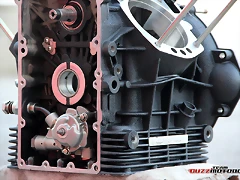 IMG_2554 IMG_2554